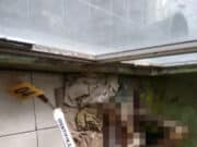 Tempati Rumah Kosong, Warga Solear Meninggal Seminggu Baru Ketahuan