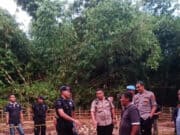 Petani: Temukan Mortir di Cisauk