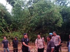 Petani: Temukan Mortir di Cisauk