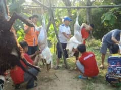 Banten Berkurban; Idul Adha 1441 H