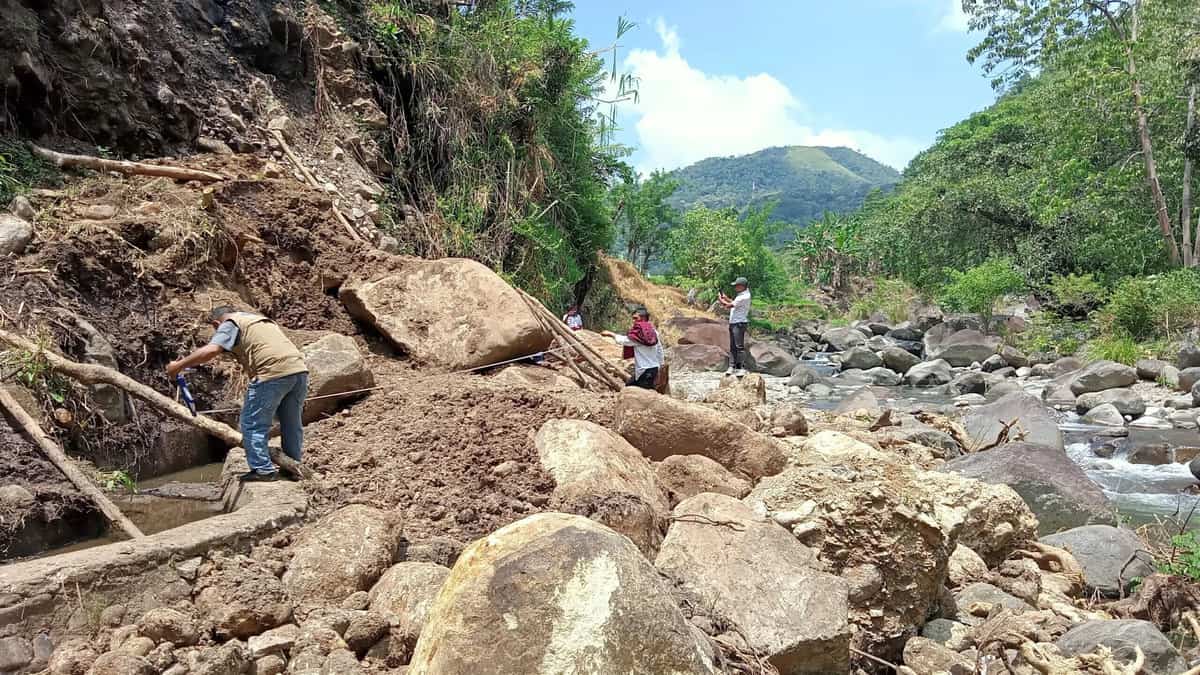 Saluran Air Tertimbun Material Longsor, Puluhan Hektar Padi Milik Warga Desa Popo Manggarai NTT Terancam Gagal Panen