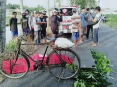 Mencari Pakan Ternak Kakek Meninggal Jatuh dari Pohon Mahoni