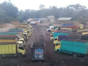 Gubernur Jambi dituntut tegas dalam mengatur mobilisasi truk batubara Jambi.