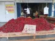 Ini lihat harga cabe merah di Jambi hanya di hargai Rp 13.000/Kg.