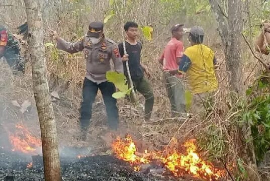 Diduga Pencari Rumput Buang Puntung Rokok Sembarang, Akibatkan Bukit di Alian Kebakaran
