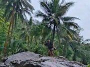 Hujan Deras Picu Longsor di Sawangan dan Pohon Tumbang di Girigondo Pituruh