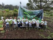 Lingkungan, PTPN IV PalmCo Intensifkan Penanaman Pohon di 12 Provinsi