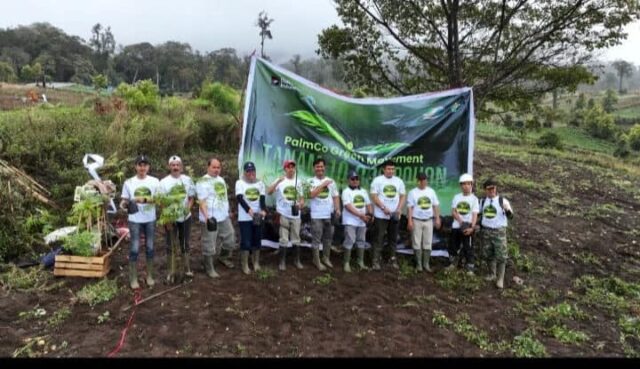 Lingkungan, PTPN IV PalmCo Intensifkan Penanaman Pohon di 12 Provinsi