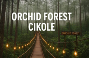 Orchid Forest Cikole