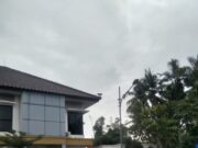 ‎Bikin Heboh, Seekor Kera Tiba Tiba Muncul di Kantor Kecamatan Mauk