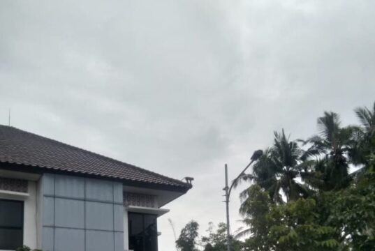 ‎Bikin Heboh, Seekor Kera Tiba Tiba Muncul di Kantor Kecamatan Mauk