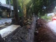 ‎Diduga Tak Sesuai Spesifikasi, Proyek Turap di  Suradita Disorot Publik