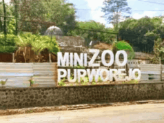 Meski Terbengkalai, Mini Zoo Purworejo Masih Habiskan Rp195 Juta Setiap Tahun