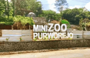 Meski Terbengkalai, Mini Zoo Purworejo Masih Habiskan Rp195 Juta Setiap Tahun Meski Terbengkalai, Mini Zoo Purworejo Masih Habiskan Rp195 Juta Setiap Tahun