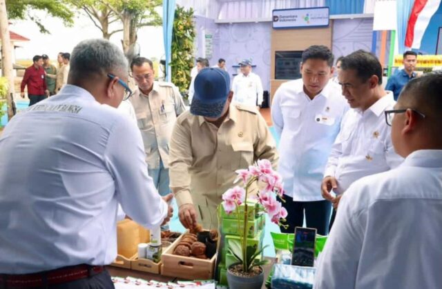 Presiden Dorong PTPN Tingkatkan Produktivitas Gambir Rakyat, Hilirisasi Dinilai Jadi Kunci Nilai Tambah