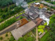 Produksi CPO PalmCo Tembus 2,7 Juta Ton, Produktivitas Lahan Terus Menguat