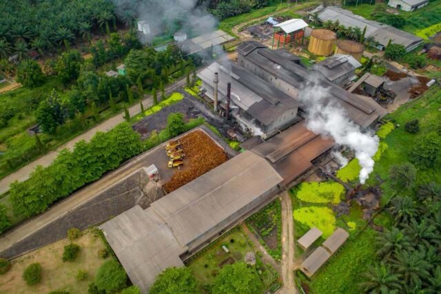 Produksi CPO PalmCo Tembus 2,7 Juta Ton, Produktivitas Lahan Terus Menguat