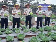 Panen Raya Hortikultura, Rutan Kelas IIB Ruteng NTT Sisihkan Sebagian Hasilnya Untuk Misi Kemanusiaan
